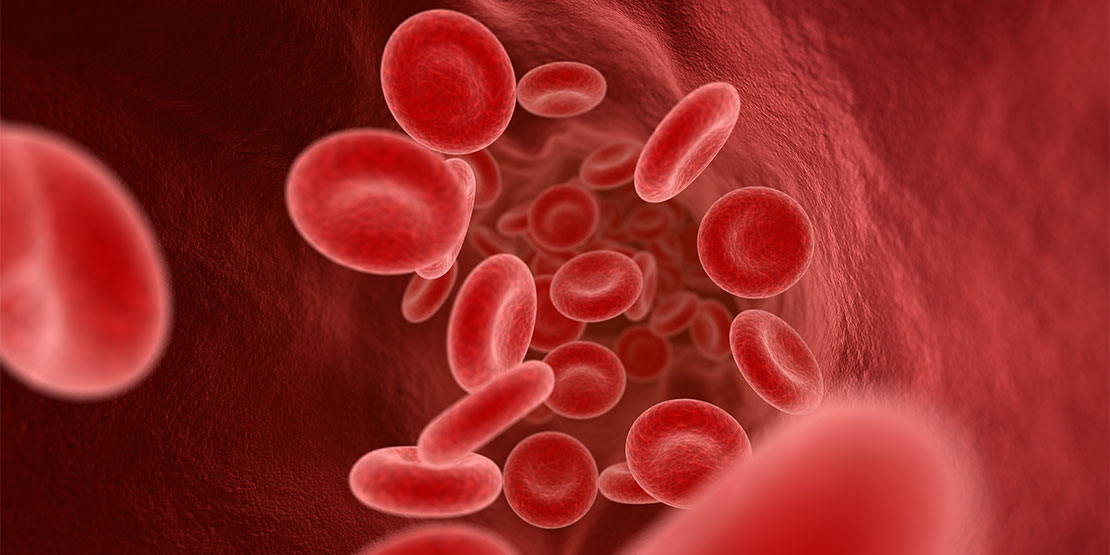 Bana Kan Grubunu Söyle Sana Diyetini Söyleyeyim