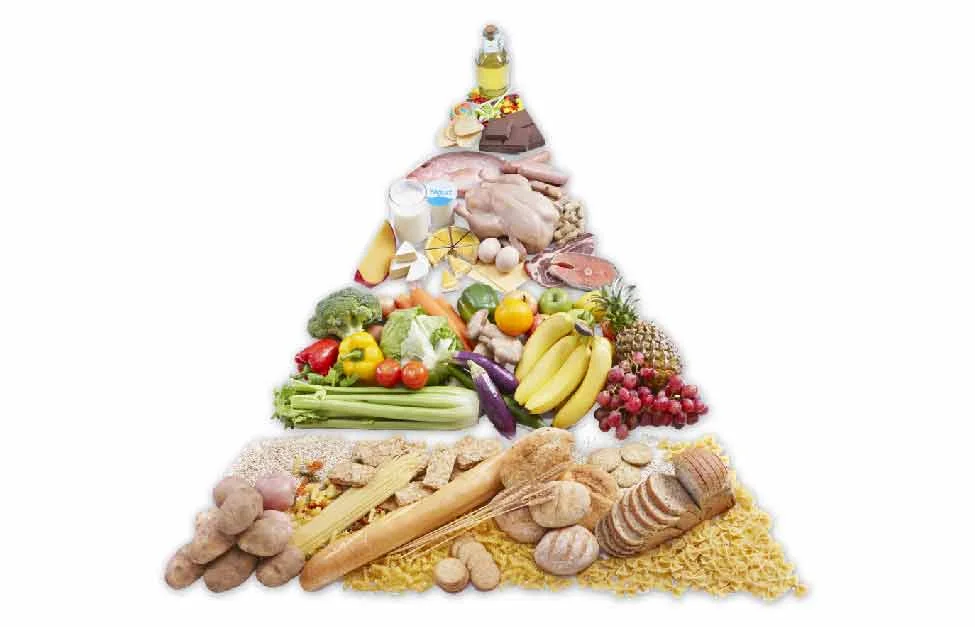 Besin Piramidi