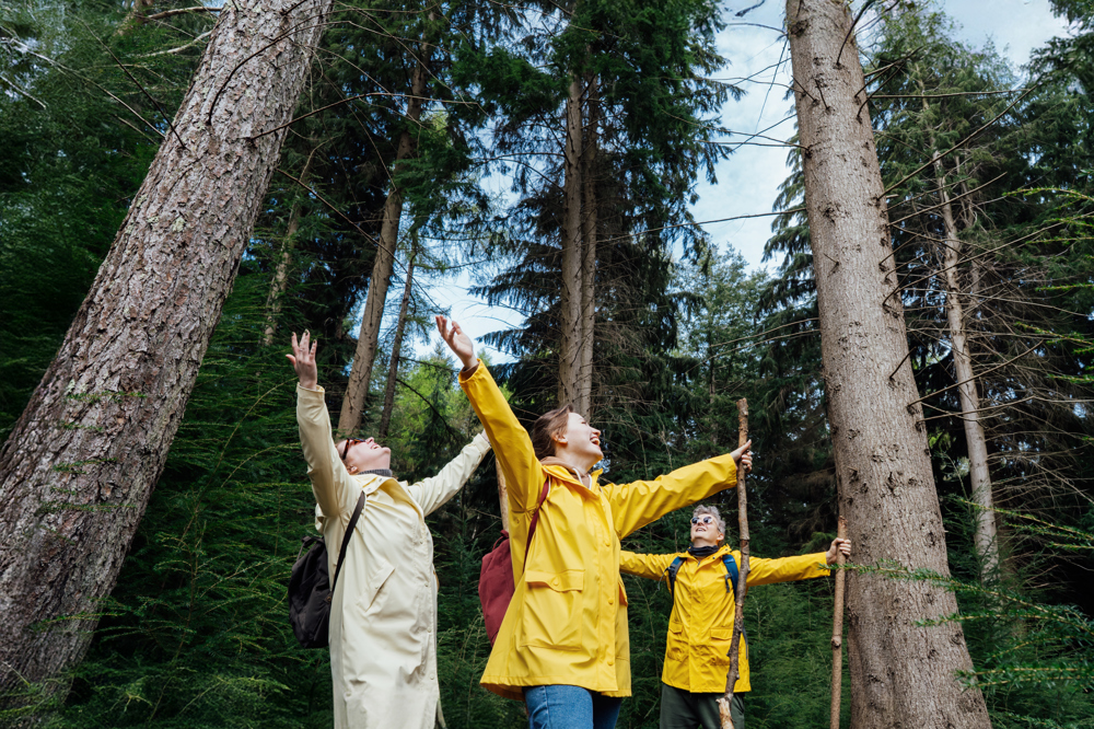Doğanın İnsan Üzerindeki Etkisi ve Doğa Terapisi
