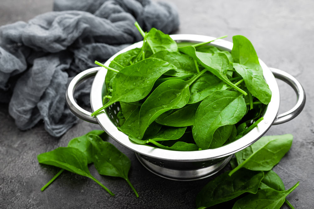 Ispanağın Faydaları, Kalorisi, İçeriği ve Yapılabilecek Yemekler