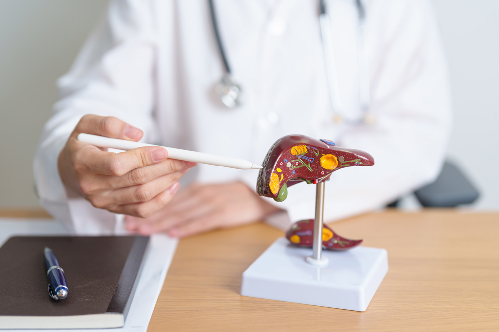 Karaciğer Sağlığı: Fonksiyonlar, Koruma ve Önleme Yöntemleri