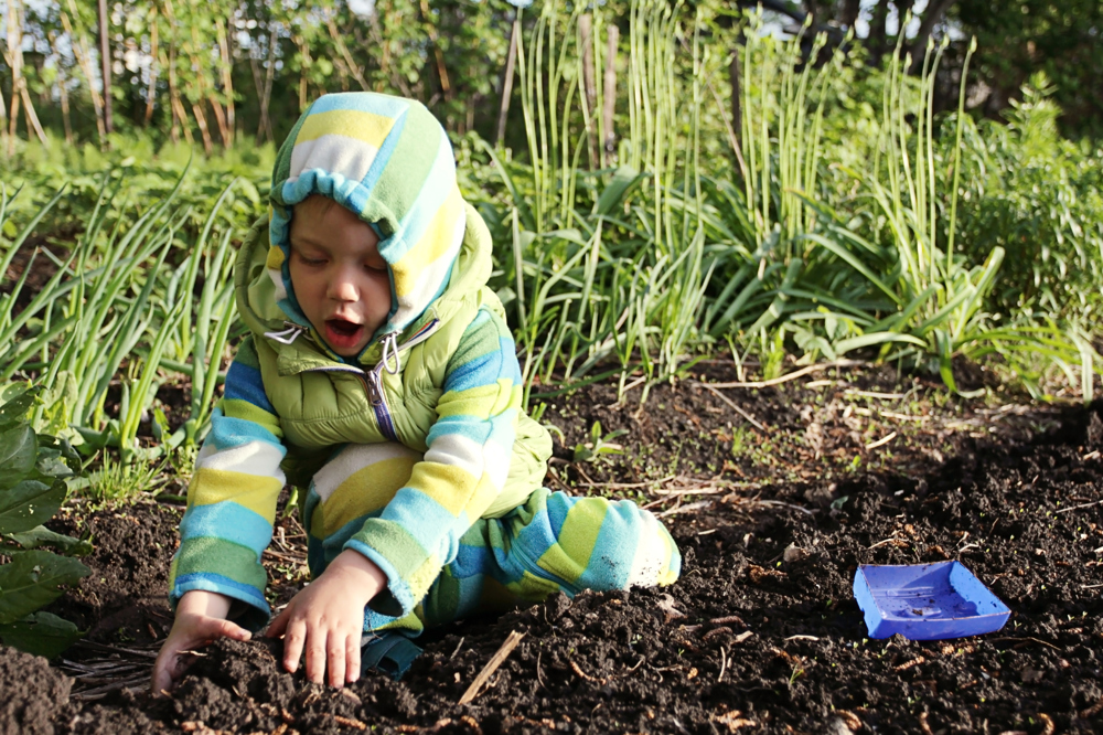 Pika Sendromu Nedir? Belirtileri Nelerdir?