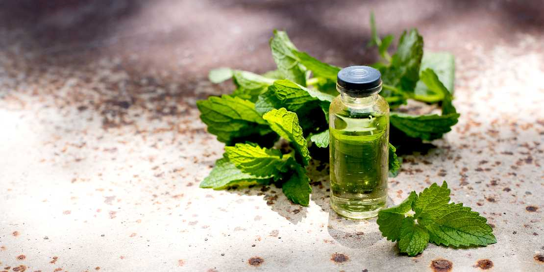 Nane Yağı ve Faydaları 