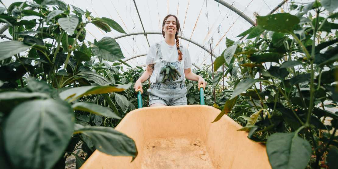 Sürdürülebilir Beslenme için Basit Adımlar