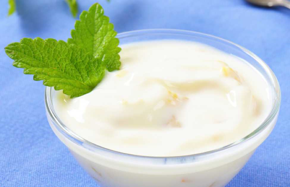 Yoğurt Diyeti